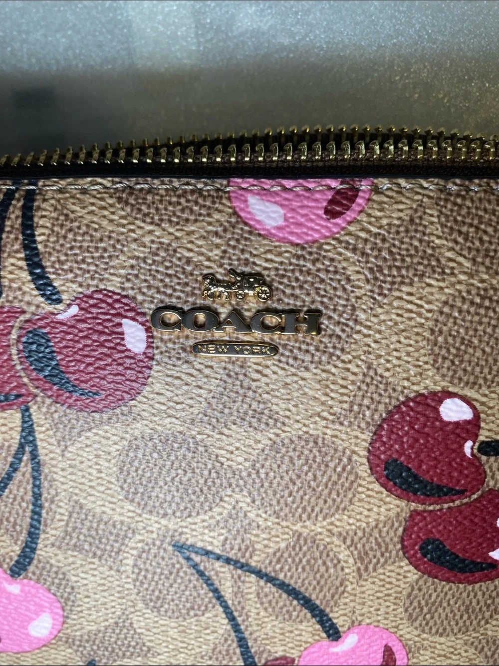 NWT Coach Nolita 19 in Brown Signature canvas with Cherry-print🍒